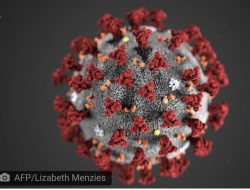 Hasil Swab Test 10 Sampel dari Lembata  Negatif, Termasuk Klaster Gowa