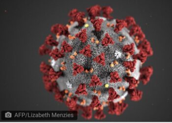 Hasil Swab Test 10 Sampel dari Lembata  Negatif, Termasuk Klaster Gowa