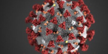 Hasil Swab Test 10 Sampel dari Lembata  Negatif, Termasuk Klaster Gowa