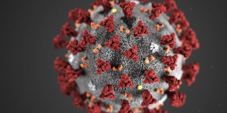 Hasil Swab Test 10 Sampel dari Lembata  Negatif, Termasuk Klaster Gowa