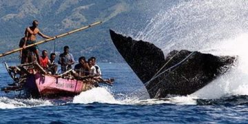 Di Lamalera Laut Adalah Kehidupan