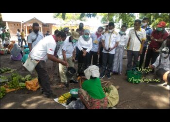 Pasar Barter Wulandoni – Lembata Aktif Lagi