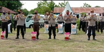 Dampak Covid-19 Kapolres Lembata AKBP Yoce Marten, Salurkan Bantuan Untuk Masyarakat Lembata