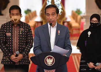 Jokowi Akan Tes Swab, Luhut: Presiden Sehat-sehat Saja