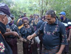 Bupati Anton Hadjon Ramaikan Seremonial Adat Di Lewotala