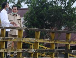 Jokowi Tunjuk Prabowo Pimpin Pengembangan Lumbung Pangan Nasional