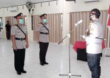 Pengungkapan Narkotika Jenis Ganja Sering Dari PNG