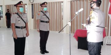 Pengungkapan Narkotika Jenis Ganja Sering Dari PNG