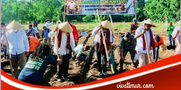 Gubernur Viktor Laiskodat Masuk Lumbung Pangan Konga, Flores Timur