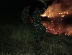 Di Kampung Bokem,Merauke-Papua    Lima Hektar Hutan Terbakar