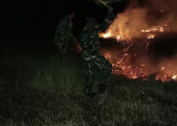 Lima hektar hutan milik masyarakat di Kampung Bokem, Kabupaten Merauke terbakar – FOTO: IST