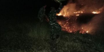 Lima hektar hutan milik masyarakat di Kampung Bokem, Kabupaten Merauke terbakar – FOTO: IST