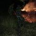 Lima hektar hutan milik masyarakat di Kampung Bokem, Kabupaten Merauke terbakar – FOTO: IST