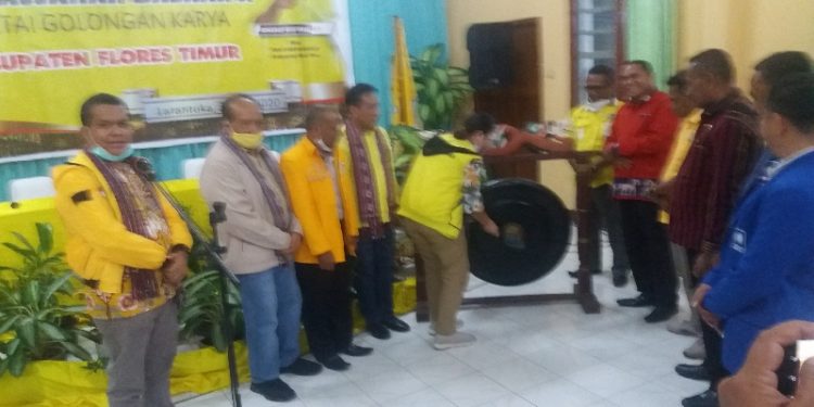 Nani Betan Pimpin Golkar Flores Timur