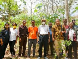 Control Union Belanda, Siap Survey Lahan Potensial Porang Paubokol, Lembata