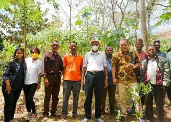 Control Union Belanda, Siap Survey Lahan Potensial Porang Paubokol, Lembata
