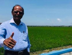 5000 Hektar Sawah Lembor Harus Jadi Lumbung Pangan NTT
