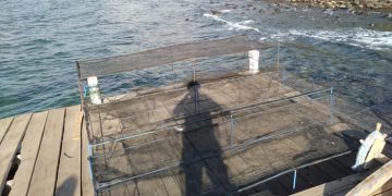 Ketua Umum Inkoppas, Ferry Juliantono Siap  Kembangkan Potensi Perikanan di Lembata