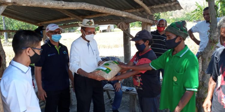 Induk KUD Bantu Petani Sawah Waikomo-Lembata