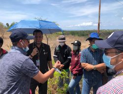Sidang Kredit Macet Bank NTT, Jaksa Sita Lahan dan Aset Bukan Jaminan