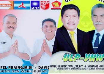 Survei Pilkada Sumba Timur, SEHATI Unggul Jauh dari KOBUL