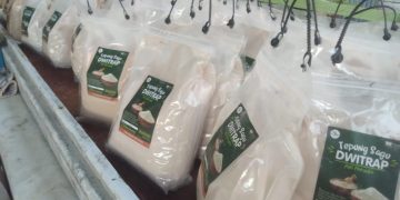 Tepung Sagu Olahan OAP di Kampung Tambat 	Sudah Dalam Bentuk Kemasan Plastik