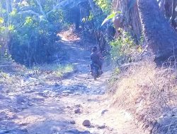 Kampung Tertinggal Riangkoli, Ada di Desa Baya, Kecamatan Adonara Tengah