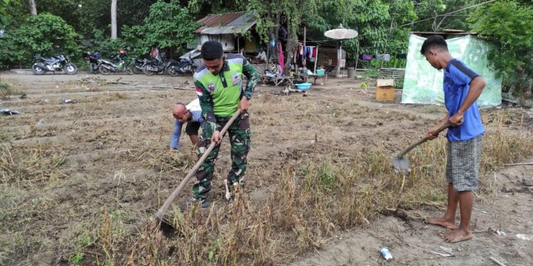 Koramil Lewoleba Bantu Petani Buka Lahan Tidur, Dukung Ketahanan Pangan