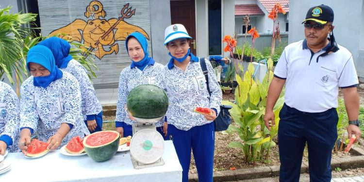 LANAL MAUMERE SUKSES TERAPKAN IRIGASI TETES, BERHASIL PANEN SEMANGKA DAN SAYURAN