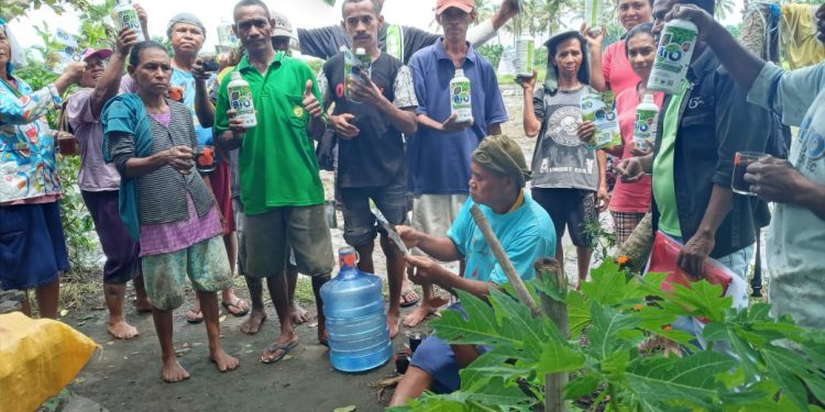 KUD Mutiara Lembata Salurkan Pupuk Bio Konversi Untuk Petani Sawah Waikomo
