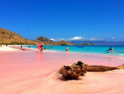 Pesona Unik Pasir Pink Beach di Taman Nasional Komodo