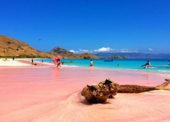 Pesona Unik Pasir Pink Beach di Taman Nasional Komodo