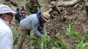 Wabup Agus Boli Tanam Perdana Pohon Penghijauan Lokasi Banjir Bantala