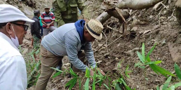 Wabup Agus Boli Tanam Perdana Pohon Penghijauan Lokasi Banjir Bantala
