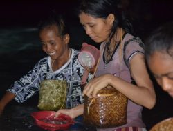 Tewa Nale, Tradisi Tangkap Cacing Laut di Desa Bubuatagamu Pulau Solor