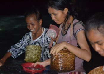 Tewa Nale, Tradisi Tangkap Cacing Laut di Desa Bubuatagamu Pulau Solor
