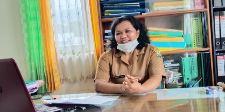 Produksi Petani Manggarai Turun, Akibat Kuota Pupuk Berkurang