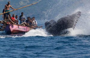 Lamalera, Kampung Nelayan Berdaya Magis Luar Biasa