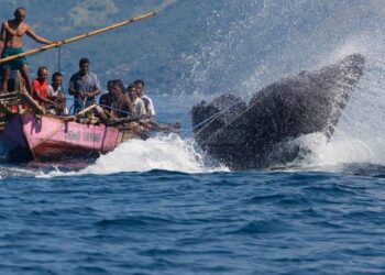 Lamalera, Kampung Nelayan Berdaya Magis Luar Biasa