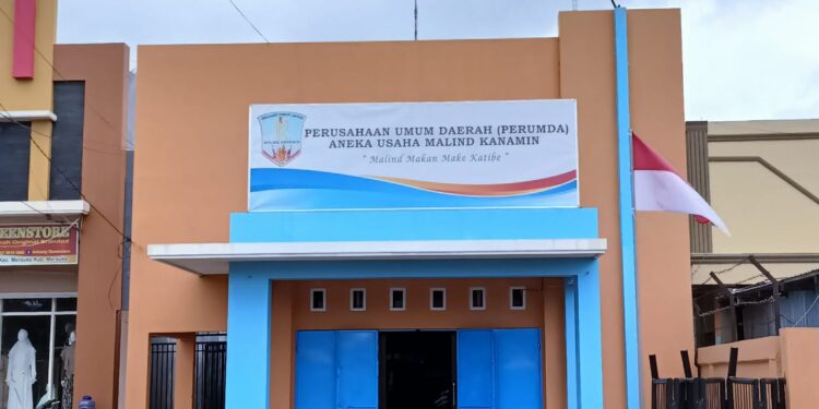 BUMD Merauke Harus Dievaluasi, Moses : Jika Direktur dan Staf Tak Kerja Baik, Diganti Saja