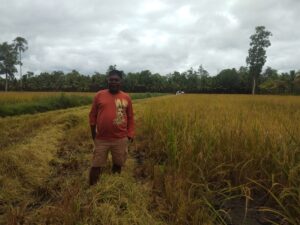 Bulog  Hanya Serap Gabah, Bupati  Mbaraka :  	‘Ada Pengecualian Untuk Merauke ’