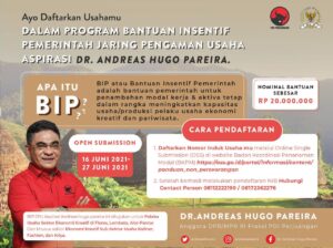 Parera Hadirkan Bantuan Modal Usaha BIP Aspirasi Untuk Pelaku Ekonomi Kreatif di Flores, Lembata dan Alor