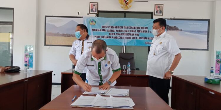 Dinas Pertanian Matim Teken MOU Kerjasama Pendampingan Hukum Dengan Kejari Manggarai