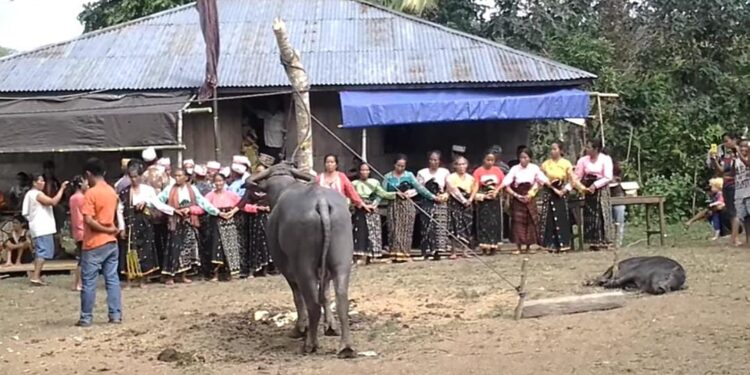 Manggarai Timur Masuk Nominasi API 2021