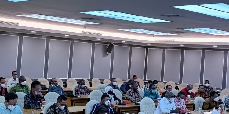 Dialog Dengan Pansus Otsus, Empat Bupati Dan Delegasi Selatan Minta PPS Harus Direalisasikan