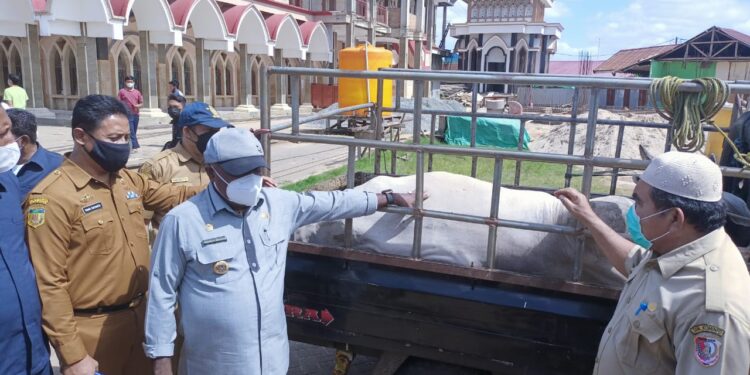 Pemkab Merauke Berikan Hewan Qurban, 	Romanus : Hampir Semua Masjid