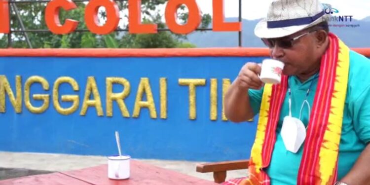 Kopi Colol Manggarai Timur Mendunia : Aroma Cita Rasa Hentak Penikmat Kopi