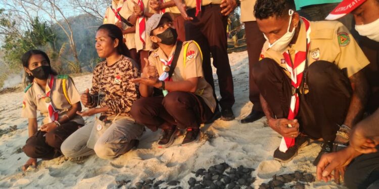 Pelepasan 63 Penyu Warnai Semarak HUT Pramuka Kwarcab Lembata