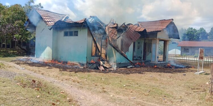 Si Jago Merah Lahap Gedung Puskesmas Pembantu di Desa Wewaria