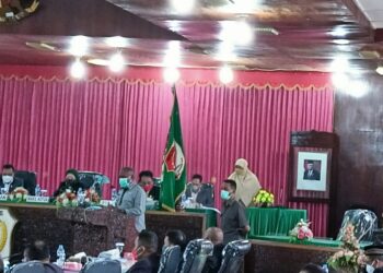 Dinas Kehutanan dan Pertambangan Ditarik Provinsi,  Harusnya di Kabupaten Dibentuk UPTD